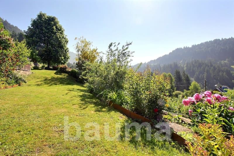 Chalet les Herbelands - 2 logements (3)