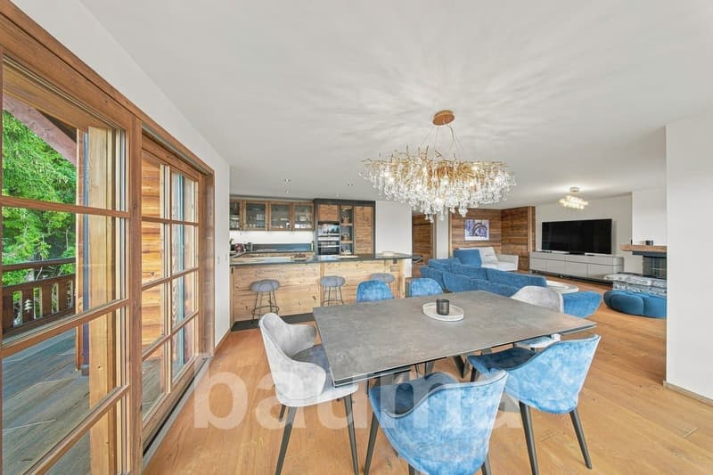 Appartement de prestige au pied des pistes avec vue panoramique (7)