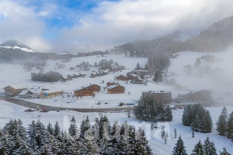 Location annuelle (13)