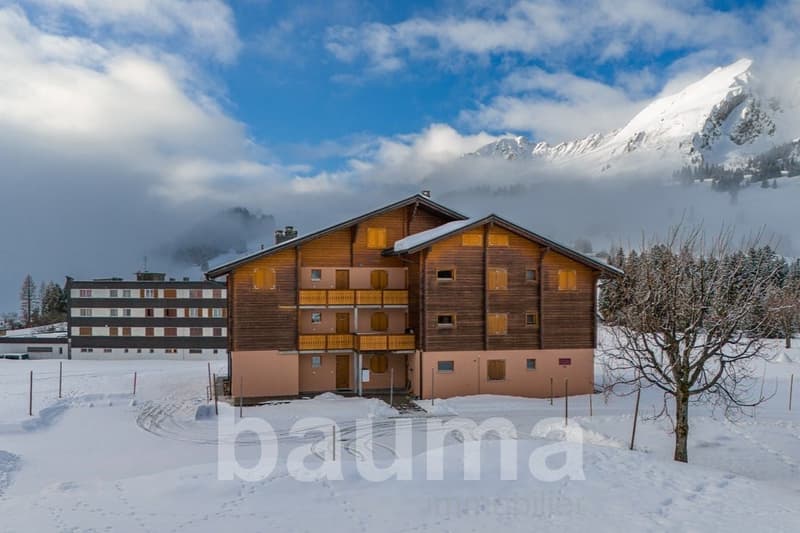 Location annuelle (12)