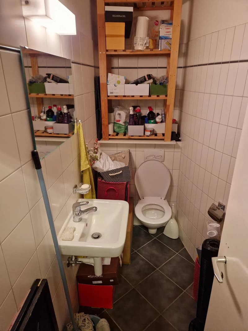 Commercial premises of approximately 61 m2 on the ground floor (3)