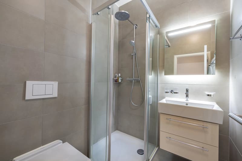 Beautiful 3.5-room apartment in the city center, with large terrace (9)