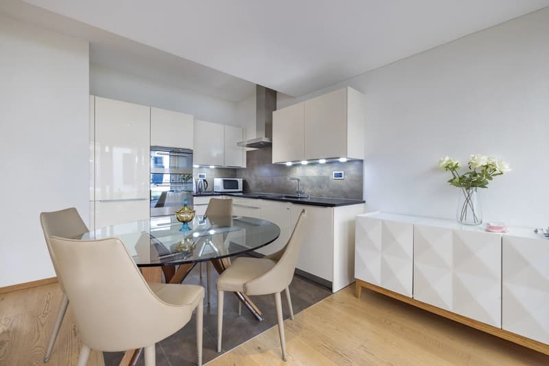 Beautiful 3.5-room apartment in the city center, with large terrace (4)
