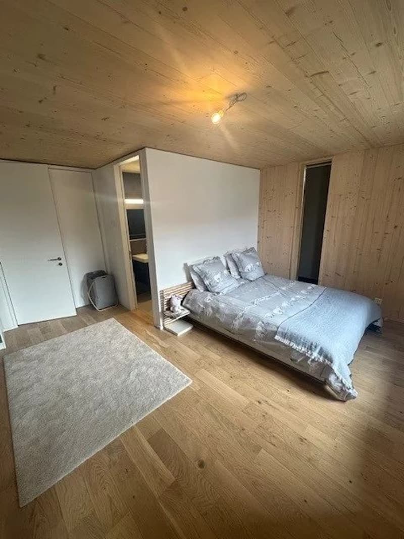 Superbo appartamento di 4.5 locali in duplex situato in un edificio completamente ristrutturato (5)