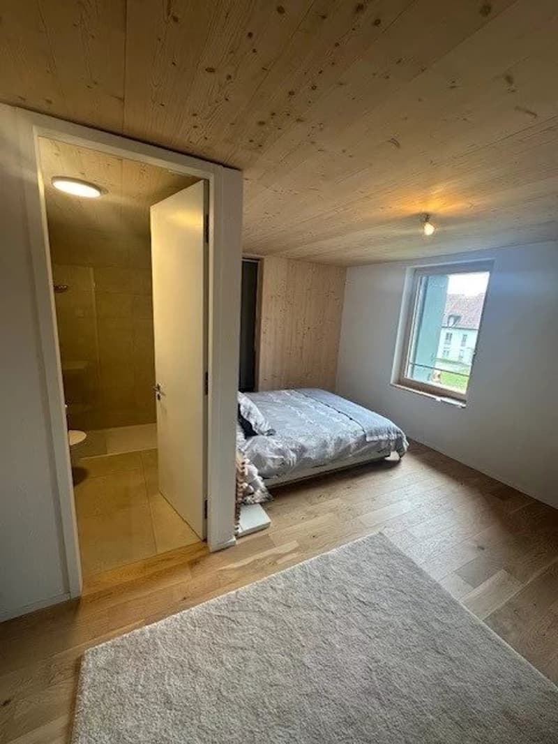 Superbo appartamento di 4.5 locali in duplex situato in un edificio completamente ristrutturato (6)