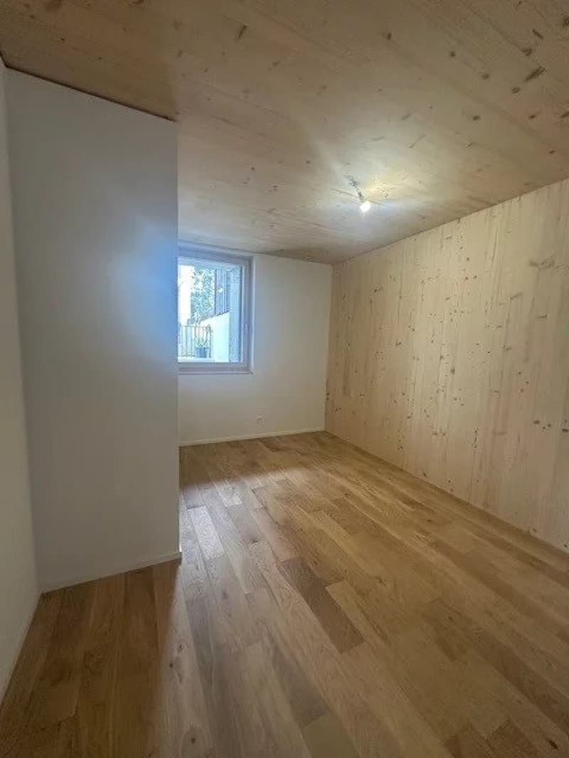 Superbo appartamento di 4.5 locali in duplex situato in un edificio completamente ristrutturato (8)