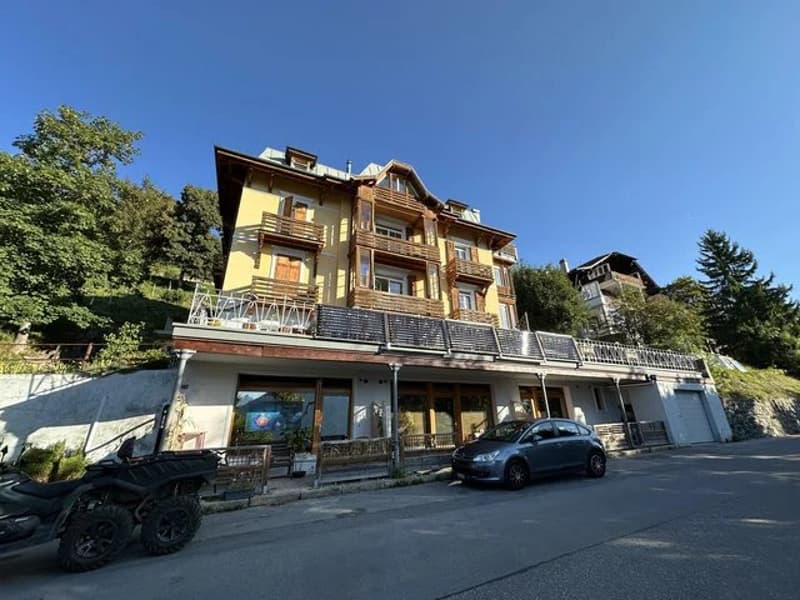 Incantevole appartamento di 2 locali al 3° piano (5)