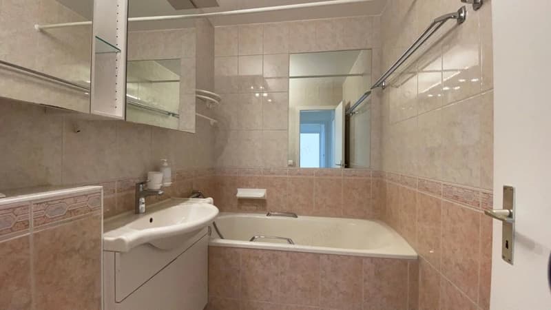 Schönes helles 2,5-Zimmer-Apartment, Südausrichtung, im letzten Stock mit Aufzug. (6)