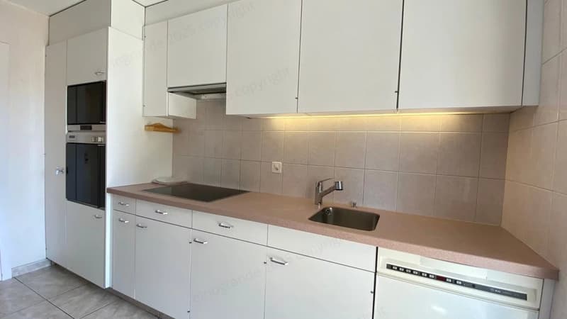 Schönes helles 2,5-Zimmer-Apartment, Südausrichtung, im letzten Stock mit Aufzug. (3)