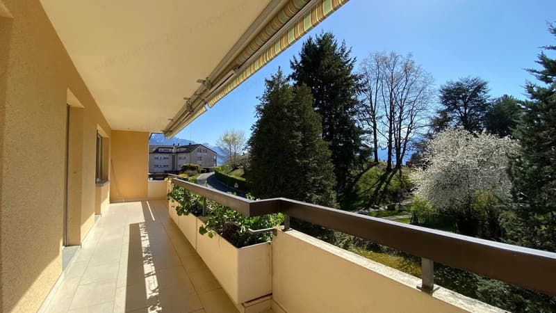 Schönes helles 2,5-Zimmer-Apartment, Südausrichtung, im letzten Stock mit Aufzug. (7)