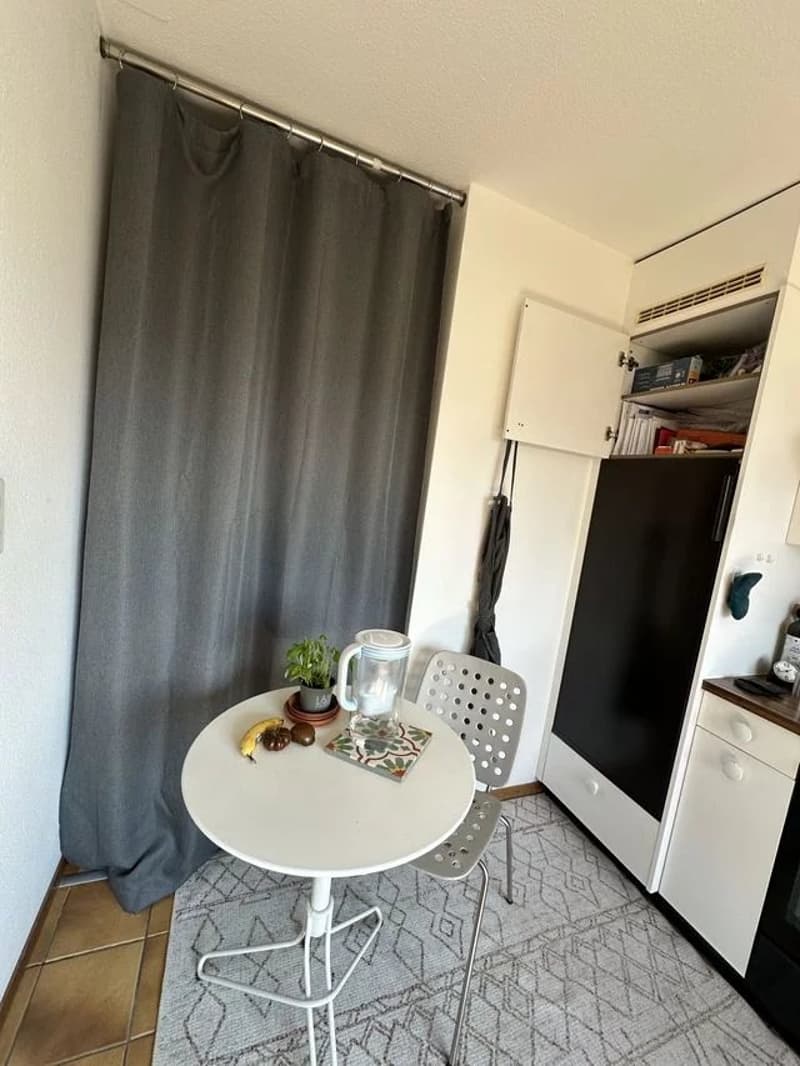 Appartamento mansardato con 2.5 locali al 1° piano (4)