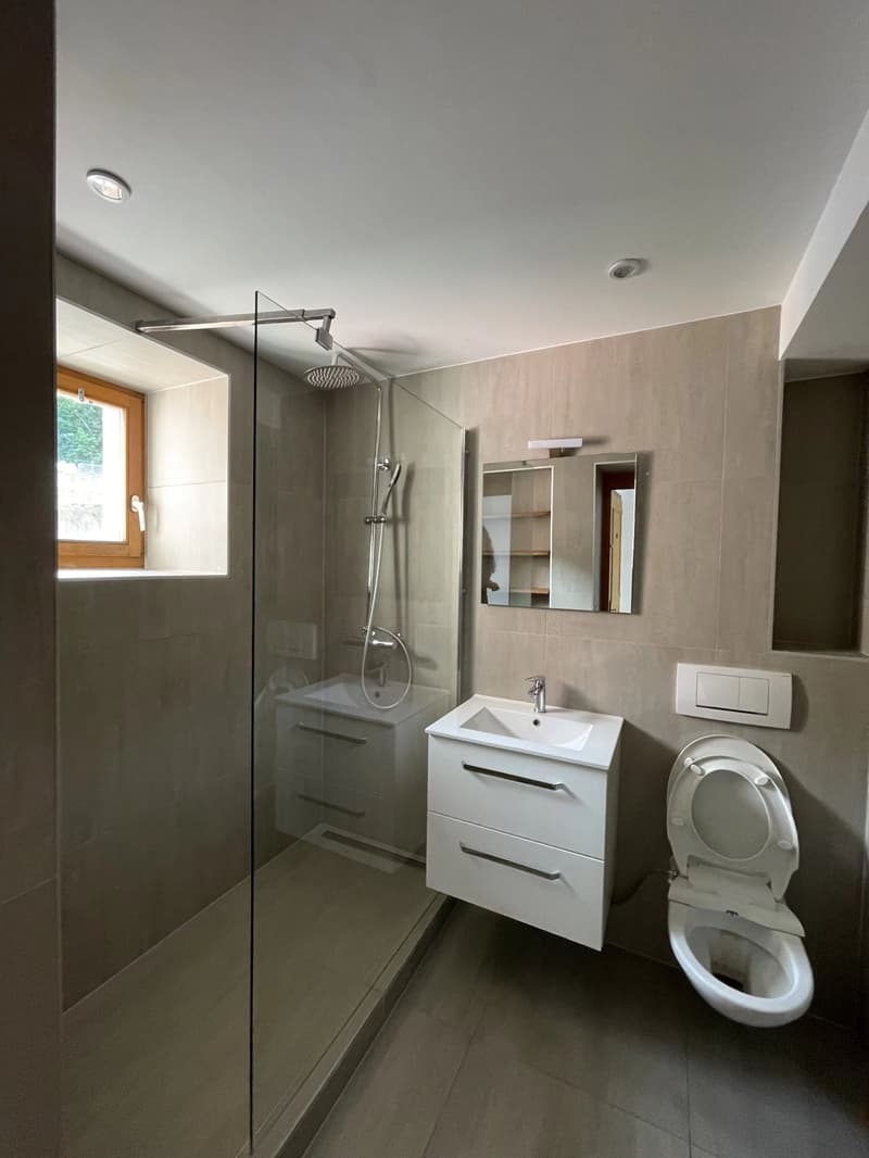 Immeuble de rendement à Montreux (13)