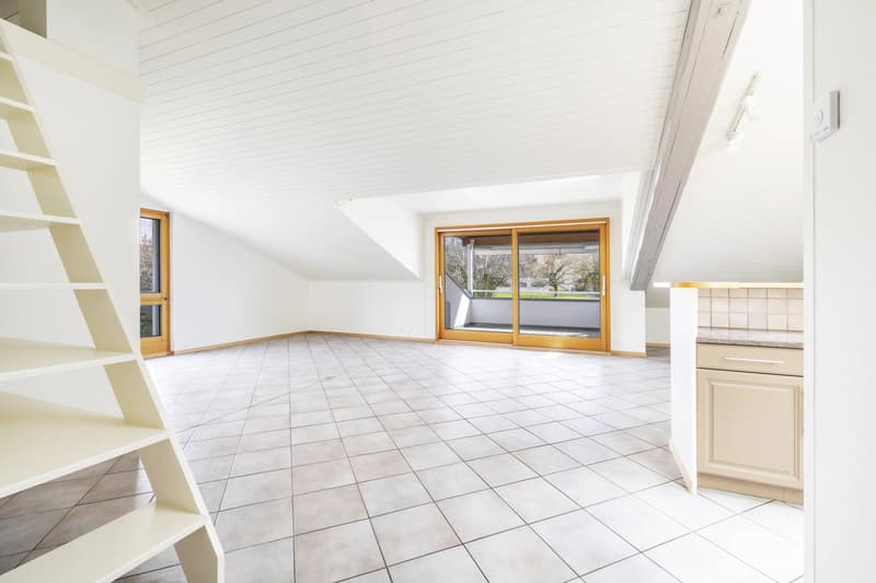 Large and charming 3.5-room apartment on the top floor (6)