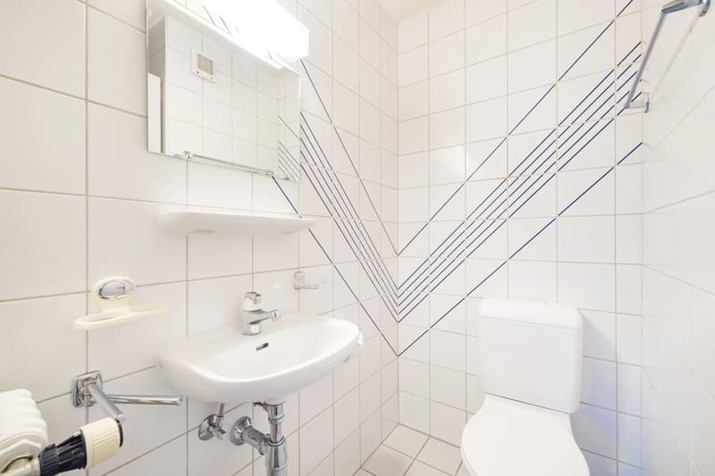 Beautiful 3.5-room apartment ideally located - Close to the lake (7)