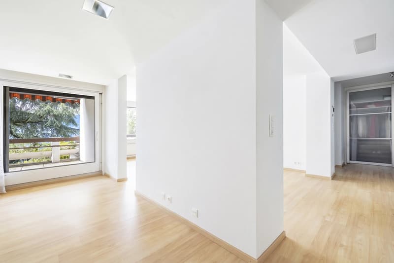 Location "Pieds dans l'eau - Magnifique appartement on the Quays (3)