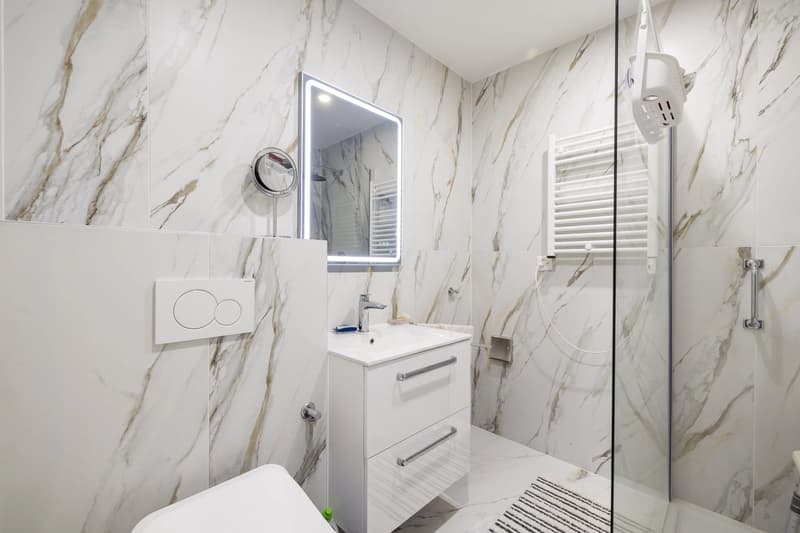 Beautiful 2.5-room apartment renovated, two steps from the lake (9)