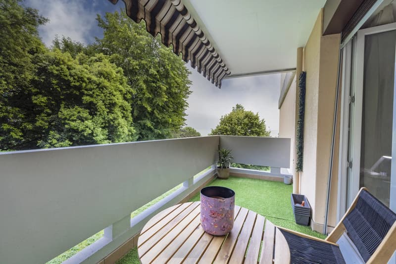 Beautiful 2.5-room apartment renovated, two steps from the lake (4)
