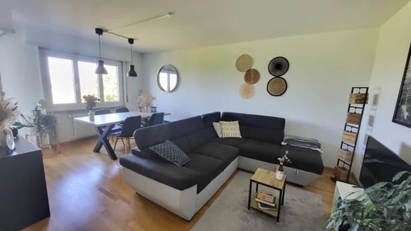 Appartamento di due locali al 2° piano (2)
