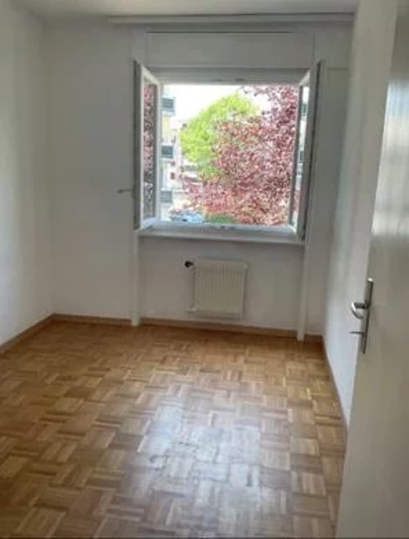 3.5-room apartment on the 1st floor (3)