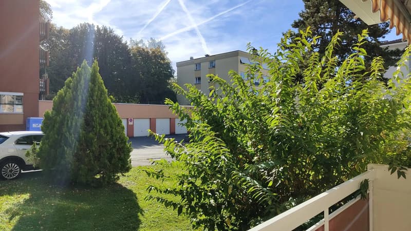 Appartement lumineux de 3 pièces au rez-de-chaussée (8)