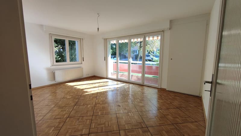 Appartement lumineux de 3 pièces au rez-de-chaussée (1)