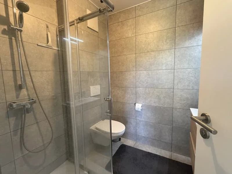 Bel appartement de 4.5 pièces au rez-de-chaussée avec jardin privatif (8)