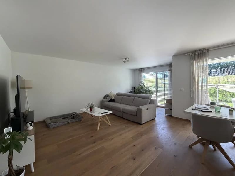 Appartamento di 3.5 locali al piano terra con giardino privato (2)