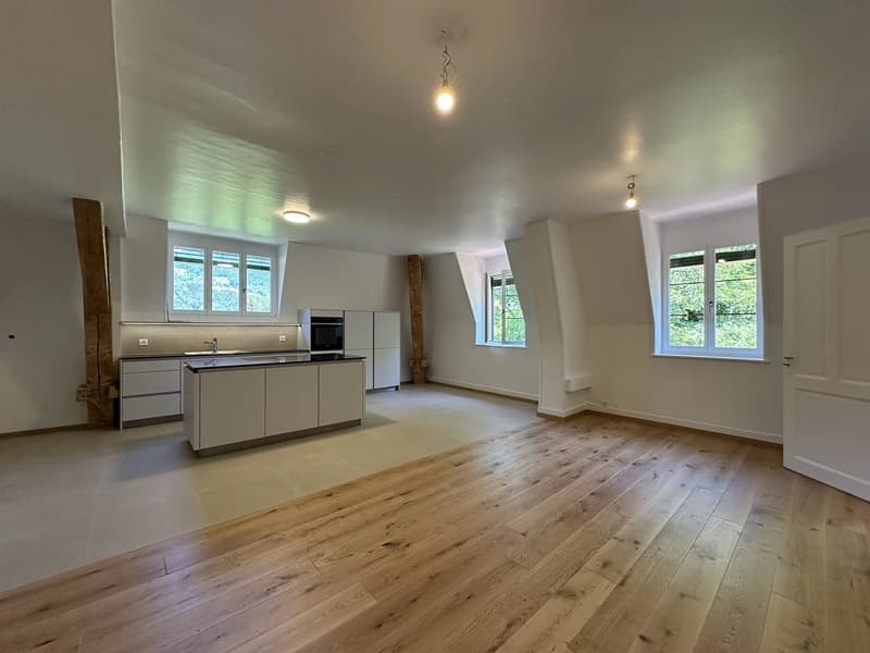 Dreizimmerwohnung unter dem Dach (8)