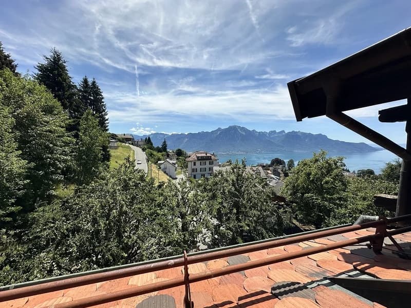 Dreizimmerwohnung unter dem Dach (7)