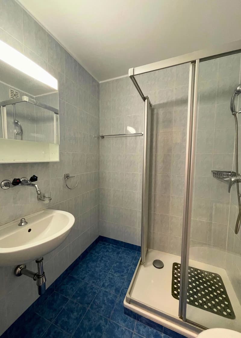 Appartement de 2 pièces au rez inférieur. (13)