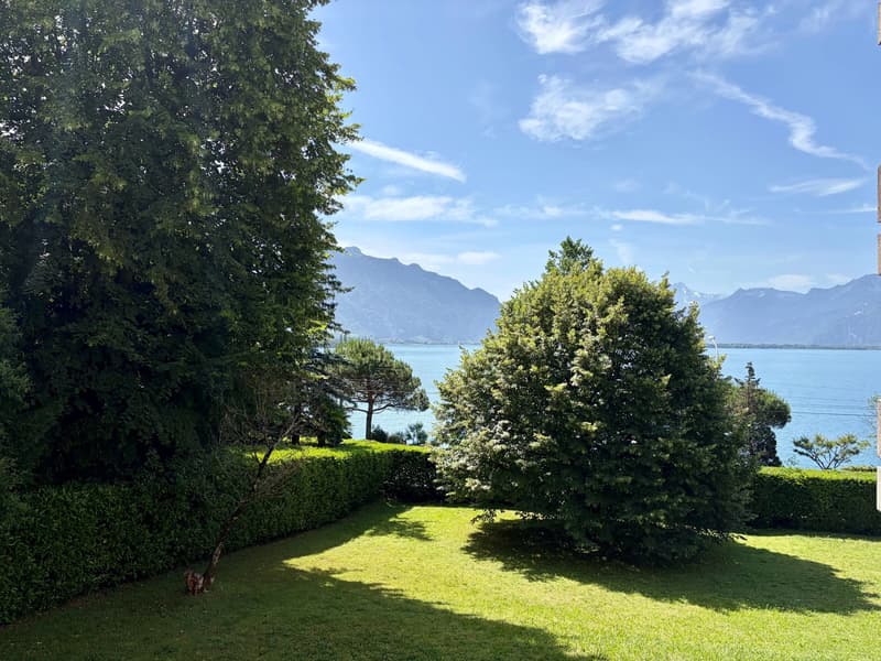 Magnifique 2.5 pièces rénové à deux pas du lac ! (4)
