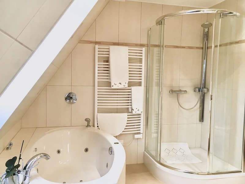 Appartement de 6.5 pièces en duplex et aux derniers étages d'un immeuble résidentiel (11)
