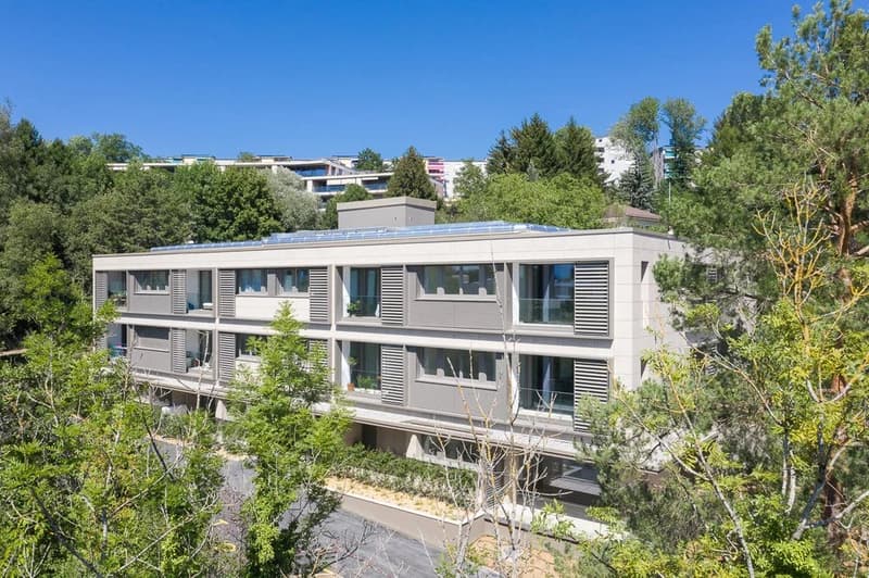 Appartement de 3.5 pièces au 1er étage et une place de parc extérieure (1)