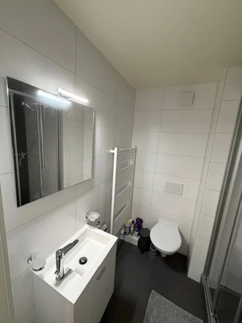 Studio meublé au rez-de-chaussée (4)