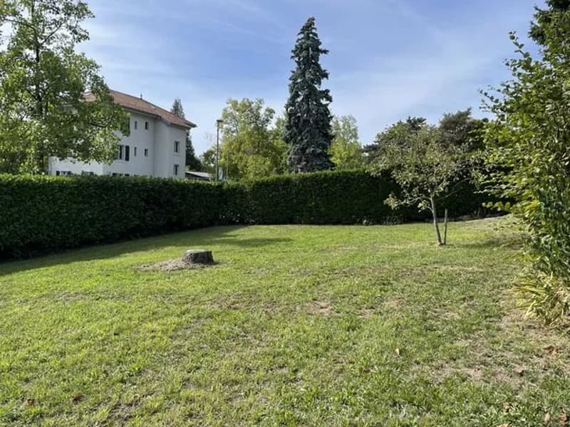 Villa individuelle de 5.5 pièces (11)