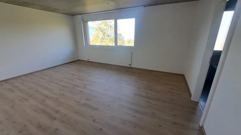 Bel appartement de 4 pièces avec grande terrasse et vue dégagée. (4)