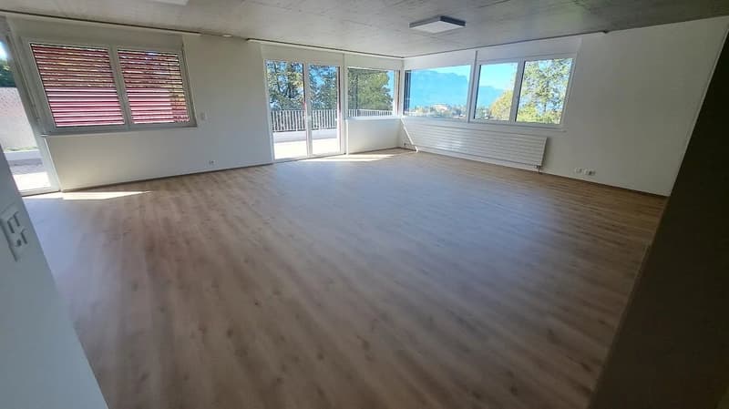 Bel appartement de 4 pièces avec grande terrasse et vue dégagée. (1)