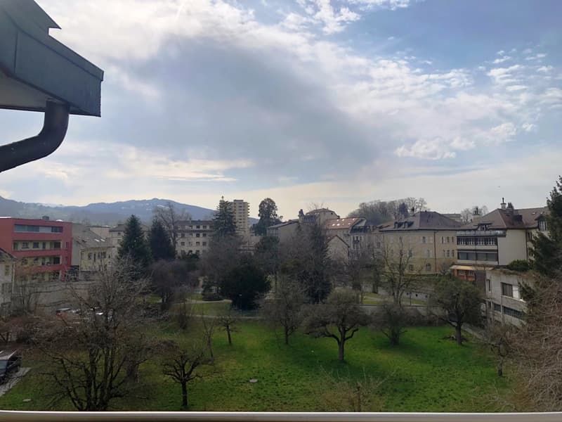 Appartement de 3,5 pièces en duplex au 4ème étage avec balcon (2)