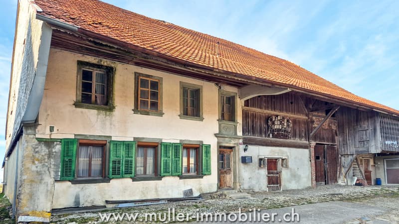 Large farm to renovate just a few minutes from Bulle (2)