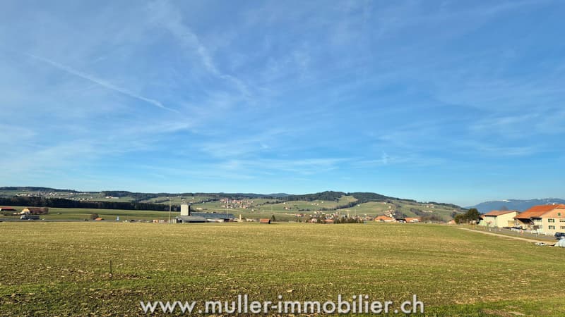 Large farm to renovate just a few minutes from Bulle (13)