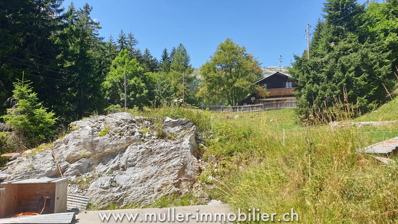 Buildable land with permit in Savièse (8)