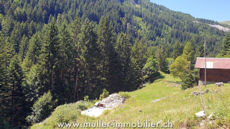 Buildable land with permit in Savièse (2)