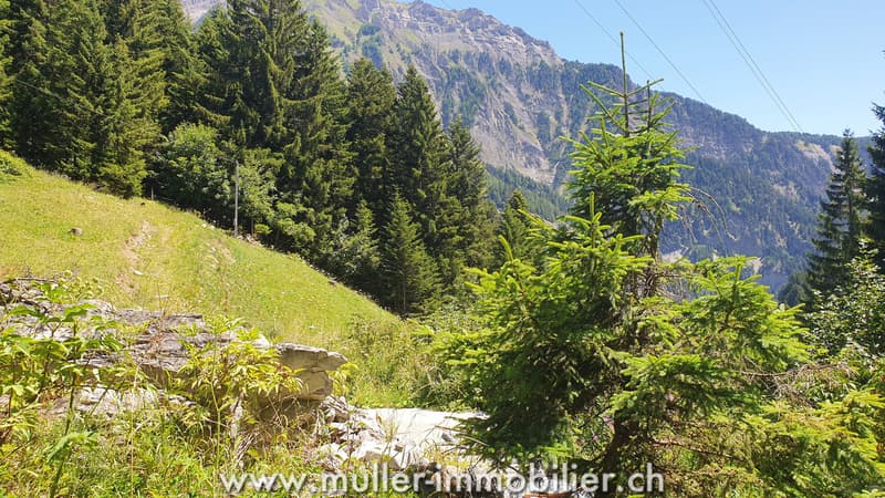 Buildable land with permit in Savièse (7)