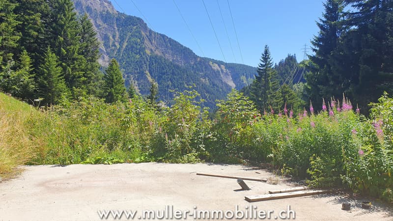 Buildable land with permit in Savièse (5)