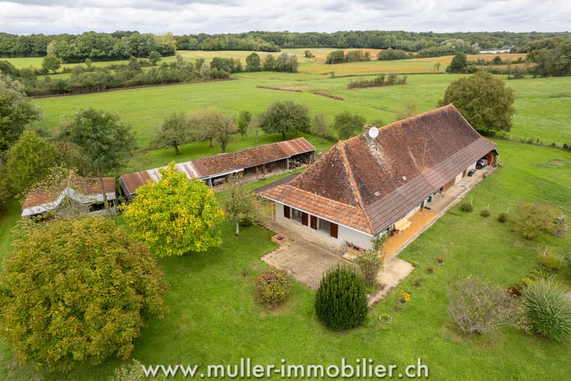 Farm with outbuildings and 3 hectares, near Louhans in France (1)