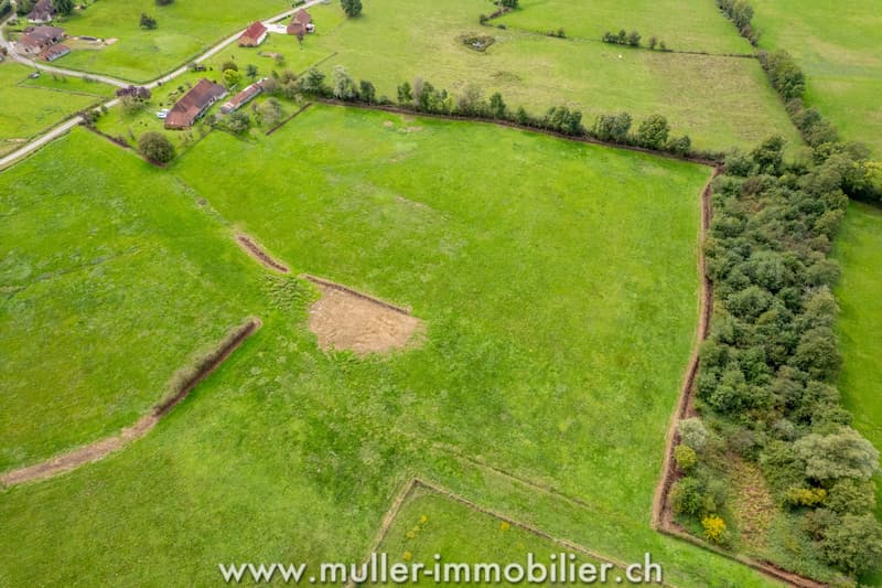 Farm with outbuildings and 3 hectares, near Louhans in France (10)