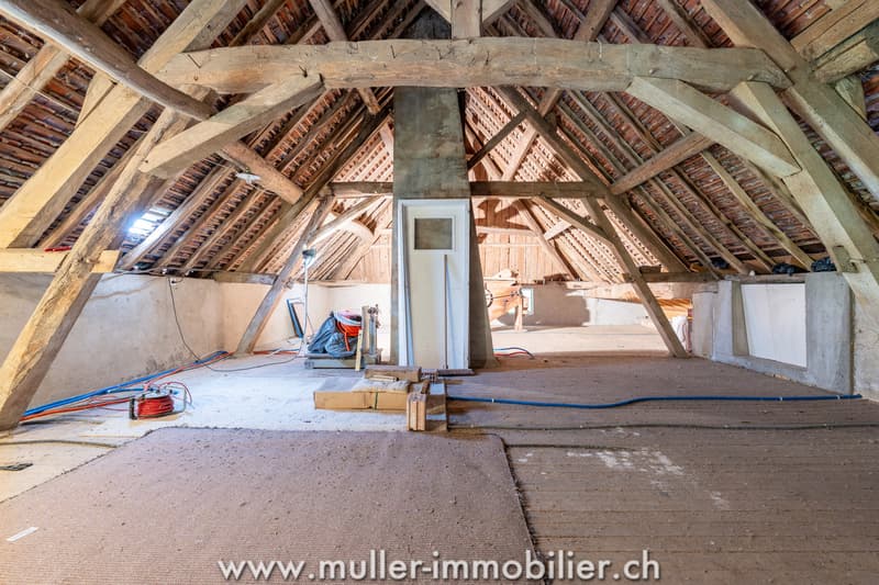 Farm with outbuildings and 3 hectares, near Louhans in France (9)