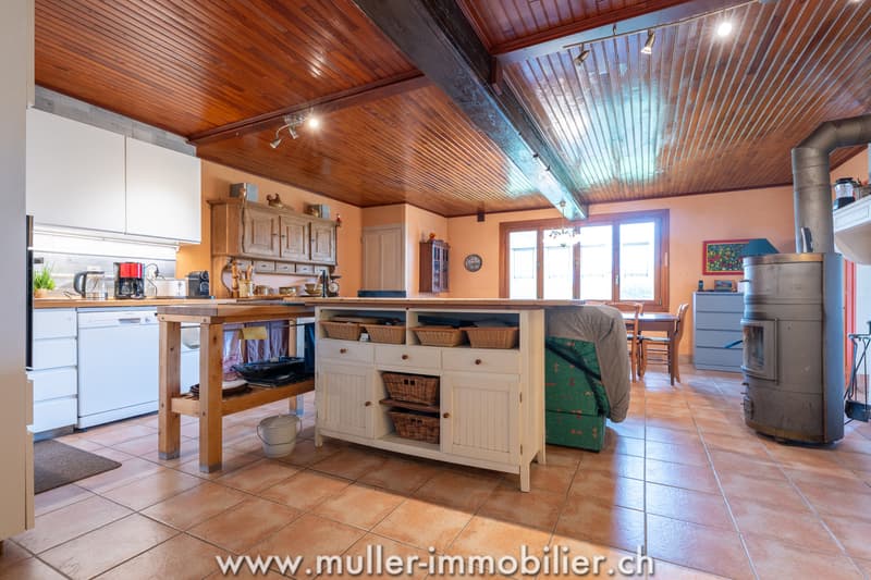 Farm with outbuildings and 3 hectares, near Louhans in France (7)