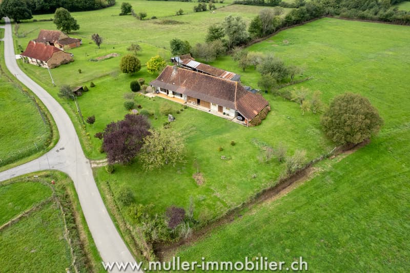 Farm with outbuildings and 3 hectares, near Louhans in France (11)