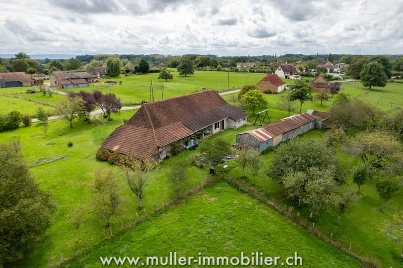 Farm with outbuildings and 3 hectares, near Louhans in France (12)